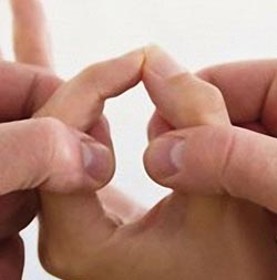 kinesiologia evolutiva a Roma
