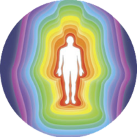 armonia 12 corpi livello 5